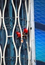 Bangkok, Thailand: Window Washers