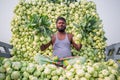 A worker is showing best fresh turnips at Savar, Dhaka, Bangladesh