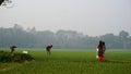Bangladesh is a vast agricultural land. The farmer is working in the onion field far away. Boys and girls are standing and
