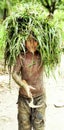 Bangladeshi a little boy is caring fresh grasses on his head with a charming beautiful smiley happy face