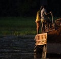 People working together on a tractor vehicle unique photo