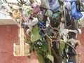 bangles, Cradle, strip of cloth etc., are tied in the branches of tree as part of a healing ritual