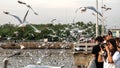 Bangpu, Thailand. January 15 - 2018: View of people and seagulls flying over the sea at Bangpu Recreation Center, Thailand