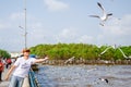 Bangpu, Thailand : Men throw food to the seagulls