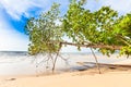 Bangsak beach in blue sky and palm trees