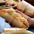 Banh mi, Vietnamese bread Royalty Free Stock Photo