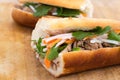 Banh mi vietnamese pork sandwich Royalty Free Stock Photo