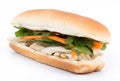 Banh mi vietnamese sandwich