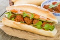 Banh Mi Xiu Mai Royalty Free Stock Photo