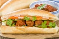 Banh Mi Xiu Mai Royalty Free Stock Photo