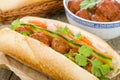 Banh Mi Xiu Mai Royalty Free Stock Photo