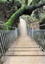 Banias Waterfalls