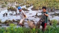 Banjar fishermen & x28;South Kalimantan& x29; looking for fish in the rice fields