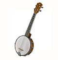 Banjo, stringed plucked musical instrument