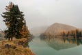 Bank of the Argut River in Altai, with golden larches. Morning calm river with reflections of trees. Impressive autumn landscapes