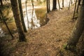 Bank of a forest river in early spring after the snow melts. forest river