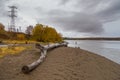 Kamchatka River, log wood on the beach, Kozyriewsk, Russia.