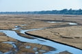 Limpopo river bank Royalty Free Stock Photo