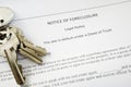 Foreclosure keys Royalty Free Stock Photo