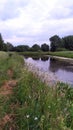 The Bank of an overgrown pond in the late evening. Reflection of the night sky and clouds on the water surface Royalty Free Stock Photo