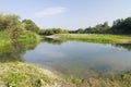 Bank of the river Ebro