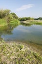 Bank of the river Ebro