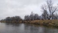 The bank of the river is overgrown with grass, among which stand large old willows in the fall already without leaves. Branches an Royalty Free Stock Photo