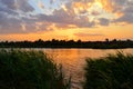 Bank of  river overgrown with tall dense grass in evening at sunset with clouds and pink, yellow, orange sky. Russian landscape Royalty Free Stock Photo