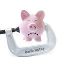 Bank vice Royalty Free Stock Photo