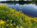 Bank of Wide River. Russia