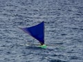 Bangkas, a traditional type of outrigger boats used by Filipino artisanal fishermen