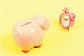 Banking account. Bankruptcy and debt. Pay for debt. Bank collector service. Credit debt. It is time to pay. Piggy bank Royalty Free Stock Photo