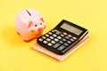 Banking account. Earn money salary. Money budget planning. Calculate profit. Piggy bank pink pig and calculator