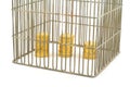 Banking - coins in cage on white