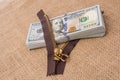 Banknote bundle of US dollar and brown zipper Royalty Free Stock Photo