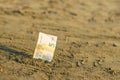 Banknote of value of five euro in the the sand on the beach. Concept of cheap travel and vacation.