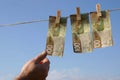 Banknotes on a clothes line Royalty Free Stock Photo