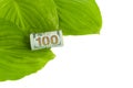 Banknotes on white with green leaves background. The concept of the global financial crisis. Suitable for printing on puzzles and