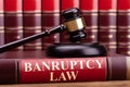 Bankruptcy Law Book With A Judge Gavel Royalty Free Stock Photo