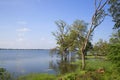 On the banks of the ancient reservoir Tissa Wewa. Anuradhapura