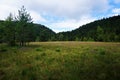 The banks of beautiful Lac de Lispach are overgrown with grass Royalty Free Stock Photo