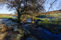 On the banks of Burbage Brook in Padley Gorge