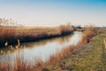 On the banks of the canal with water dry reeds