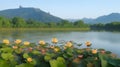 On the Banks of the Holy Bhima River Near Lord Mallaya Temple: River Water Covered by Lotus Leaves Royalty Free Stock Photo