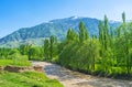 The banks of Kyzyl Darya river