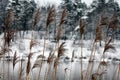 Ogre river in winter