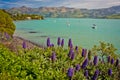 Banks Peninsula in Christchurch region, New Zealand Royalty Free Stock Photo