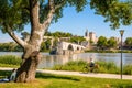 The banks of the Rhone on a sunny day, opposite the Saint-Benezet bridge and the Papal palace in Avignon, France