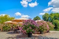 On the banks of river Havel in Potsdam, Germany - Romantic cafÃÂ© terrace surrounding by large potted oleander bushes.