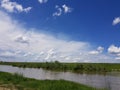 on the banks of the river Timis, on a spring day in May in Romania Royalty Free Stock Photo